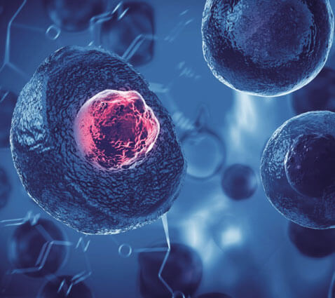 BMG Stem Cells BMG Stem Cells