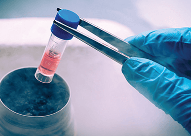 stem-cell-img +200 Growth Factors