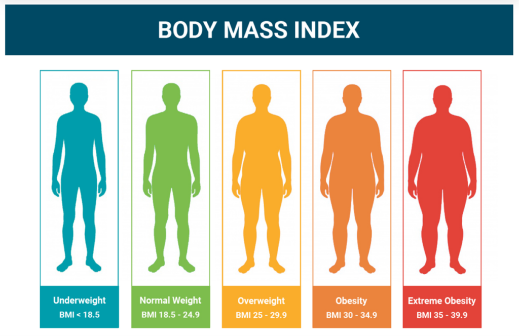 body mass index chart