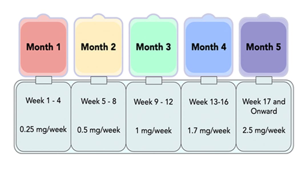 program steps