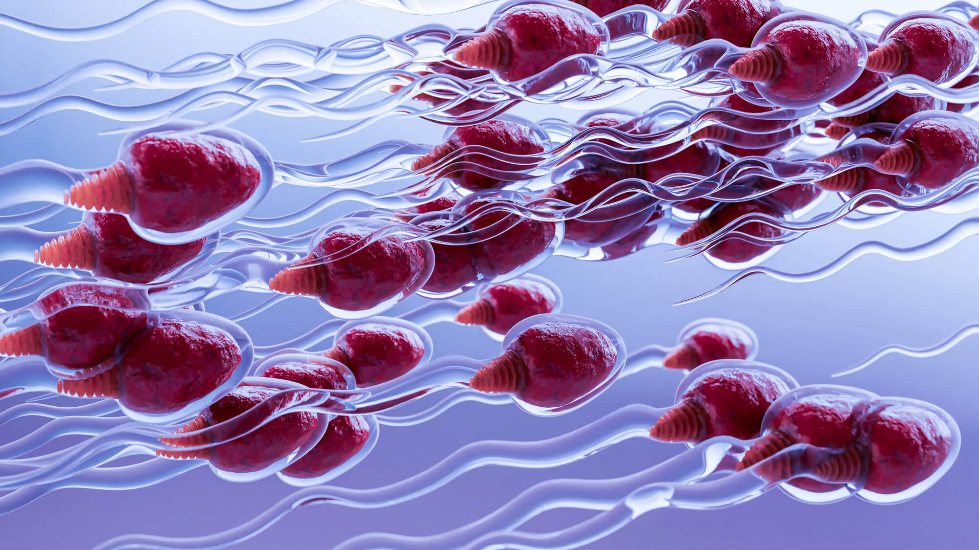 Types of Premature Ejaculation: Lifelong PE, Acquired PE, and Situational